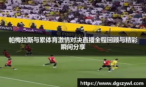 星空xingkong官网